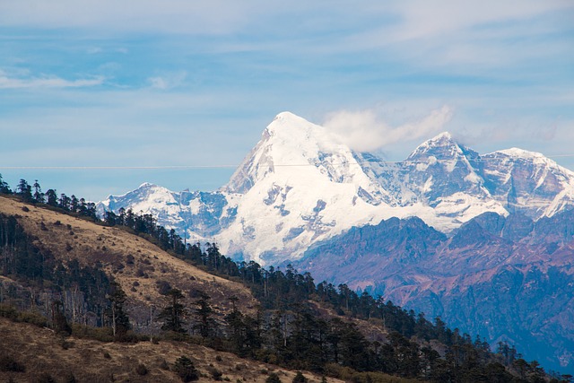 Magical Bhutan Tour 2