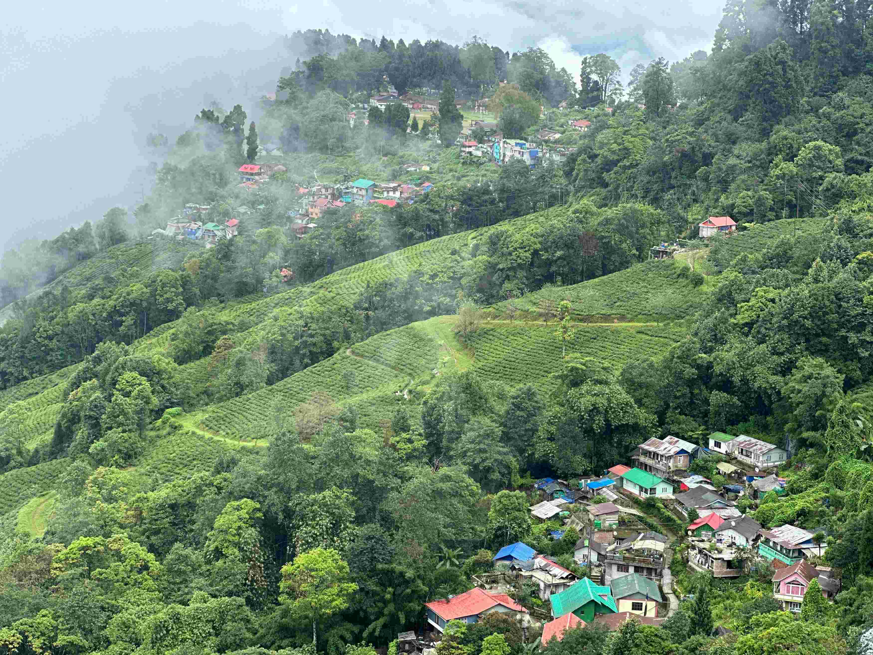 Darjeeling tour packages under 7000