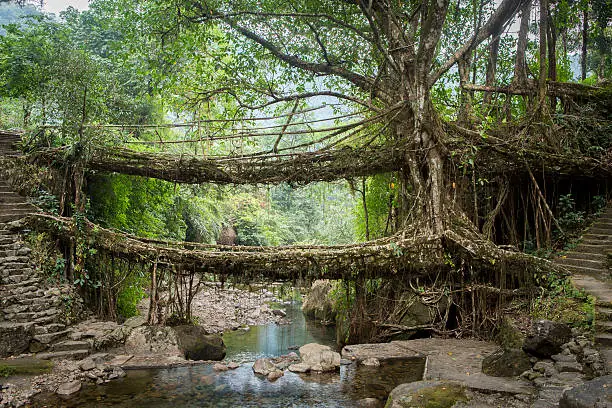 Meghalaya 4N-5D